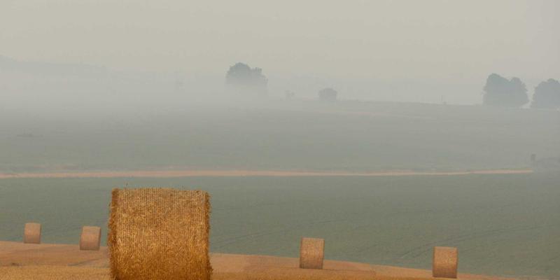 夏日饮品新风尚：低卡路里桑格利亚的健康配方研发与糖分控制艺术