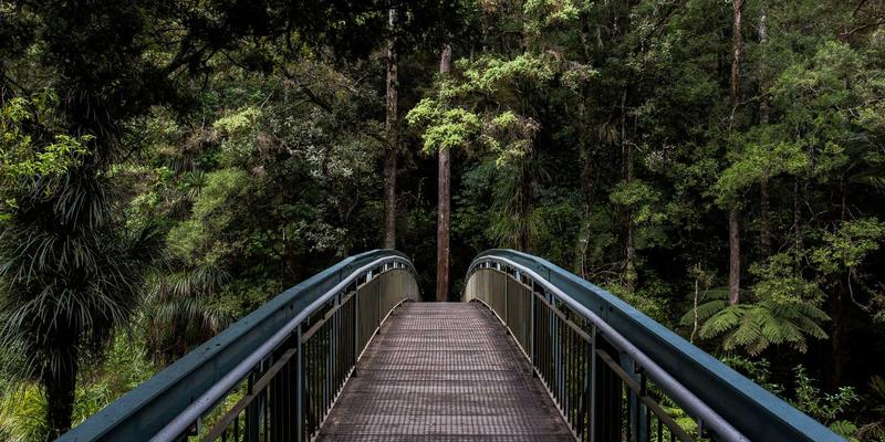 桑格利亚100:解锁夏日终极清凉的完美食谱与灵感