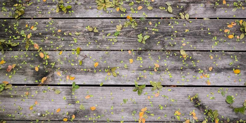 桑格利亚35:当经典红酒调酒邂逅现代味蕾,解锁酒类文化新风尚