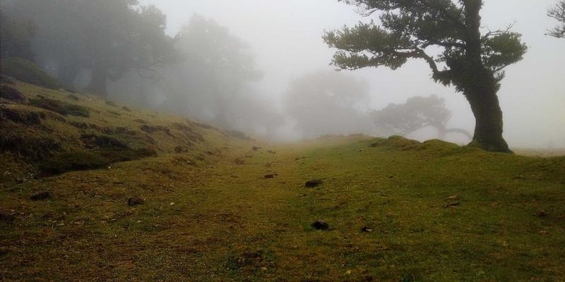 桑格利亚40:揭秘西班牙国饮的夏日魅力与微醺艺术