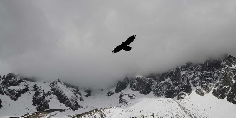 桑格利亚80：经典红酒调酒的现代演绎与终极食谱指南