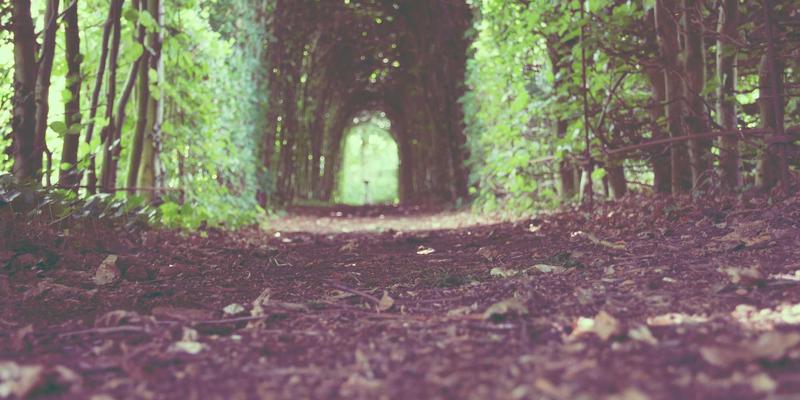 桑格利亚84：揭秘这款风靡夏日的西班牙经典饮品的独特魅力与自制秘诀