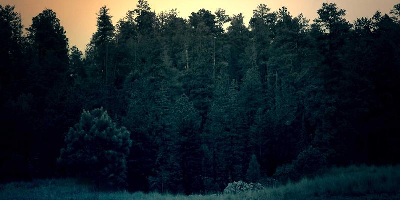 桑格利亚的基酒选择：从西班牙丹魄到黑皮诺，如何挑选最适合的葡萄酒