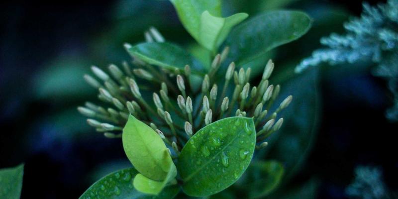 桑格利亚终极指南:从经典食谱到创意调酒,解锁西班牙果酒的灵魂