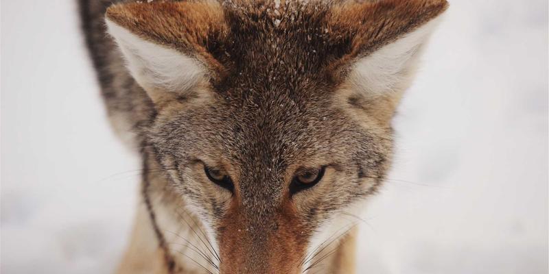 饮品推荐 | 桑格利亚的商业化挑战：如何在延长保质期的同时守护酒类文化的传统风味